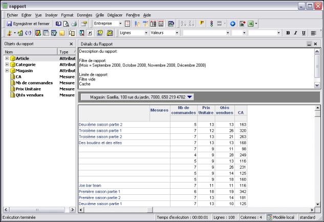 Execution du rapport